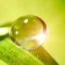 No Brand Holdings logo