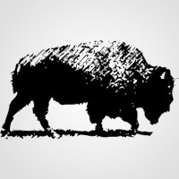 Abrams Bison Investments logo
