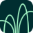 Willow Wealth logo