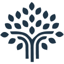 Birch Faraday Capital logo